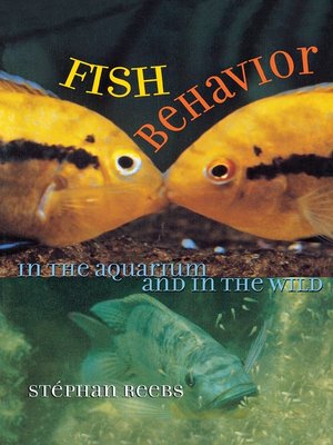 cover image of Fish Behavior in the Aquarium and in the Wild